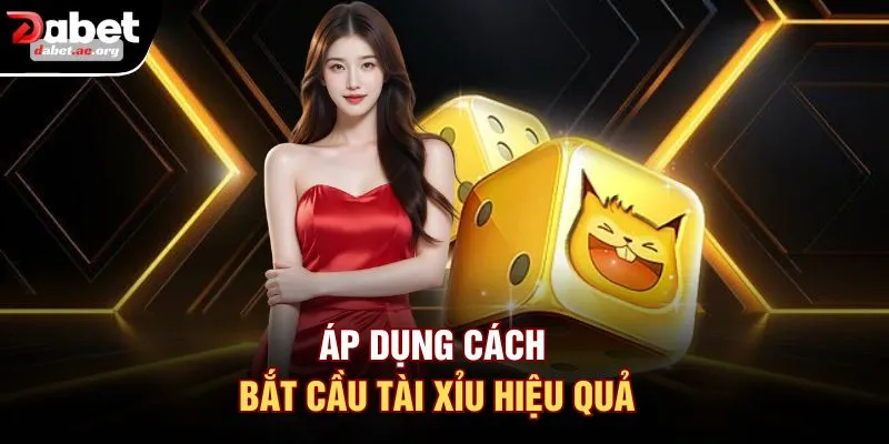 Áp dụng cách bắt cầu tài xỉu hiệu quả