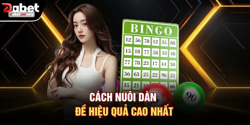 Cách nuôi dàn đề hiệu quả cao nhất